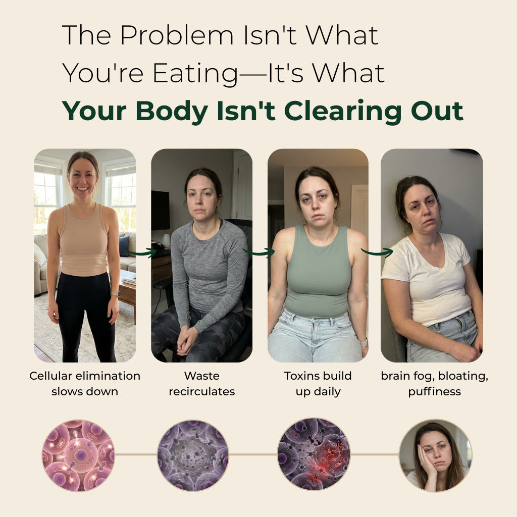 Maximum Potency Formula - Cellular Cleansing Spirulina Tablets by AVIV™