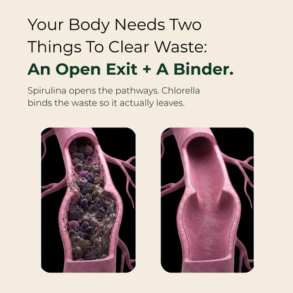 Maximum Potency Formula - Cellular Cleansing Spirulina Tablets by AVIV™